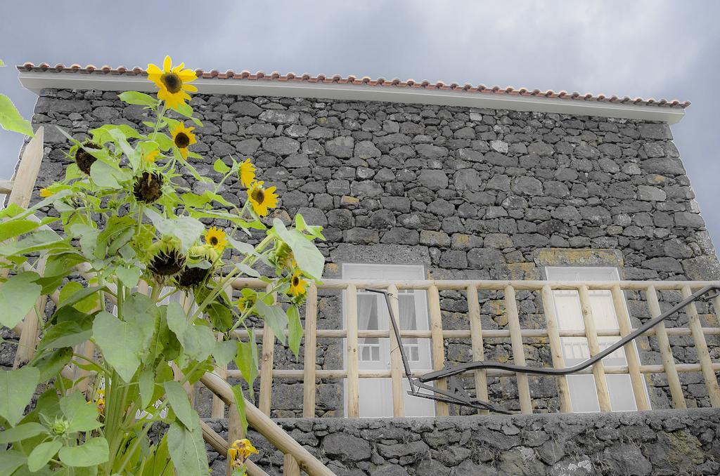 Villa Stone Dreams - Pedra Da Atafona Calheta de Nesquim Exterior foto